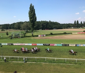 MUREXIN & Parkety Hinterseer a Velká pardubická